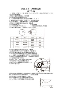 2022洛南县洛南中学高三上学期第一次模拟考试生物试题含答案