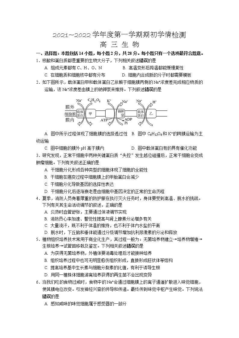 2022江苏省如东高级中学高三上学期第一次学情检测生物试题含答案第1页