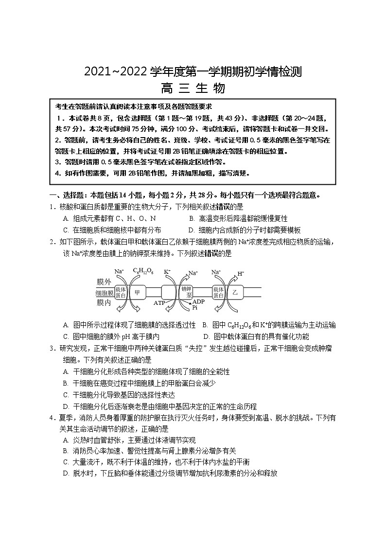 2022江苏省如东高级中学高三上学期第一次学情检测生物试题缺答案第1页