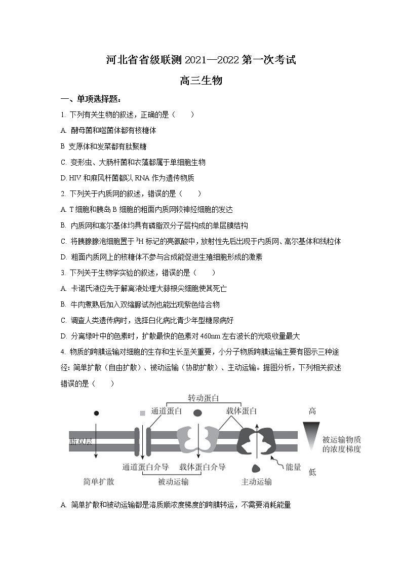 2022河北省省级联测高三上学期第一次考试生物试题含答案01