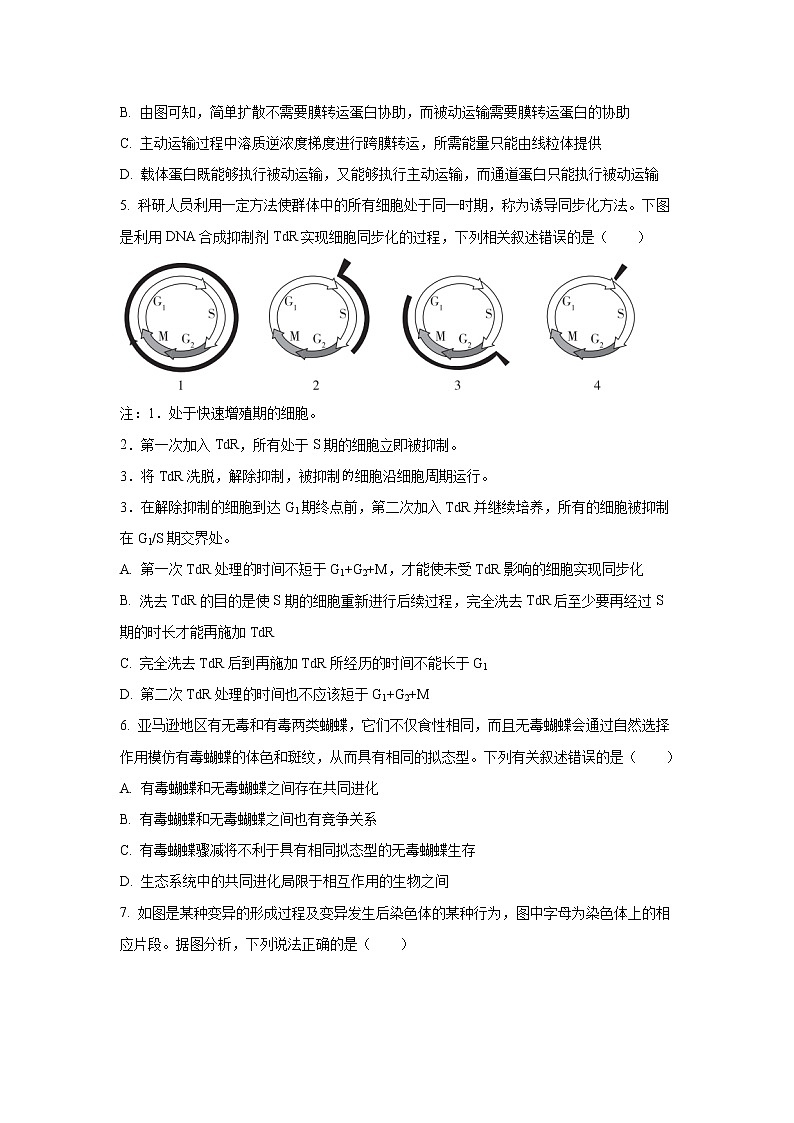 2022河北省省级联测高三上学期第一次考试生物试题含答案02