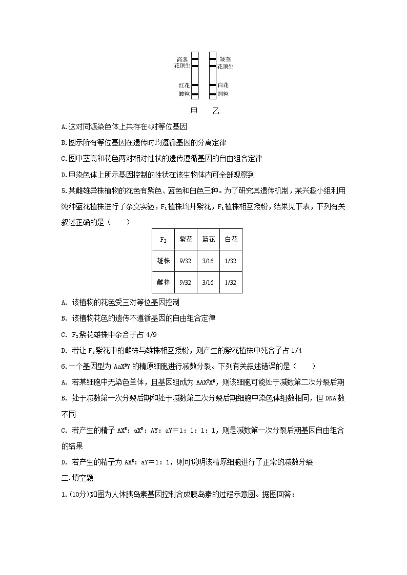 2022眉山彭山区一中高三上学期入学考试生物试题含答案第2页