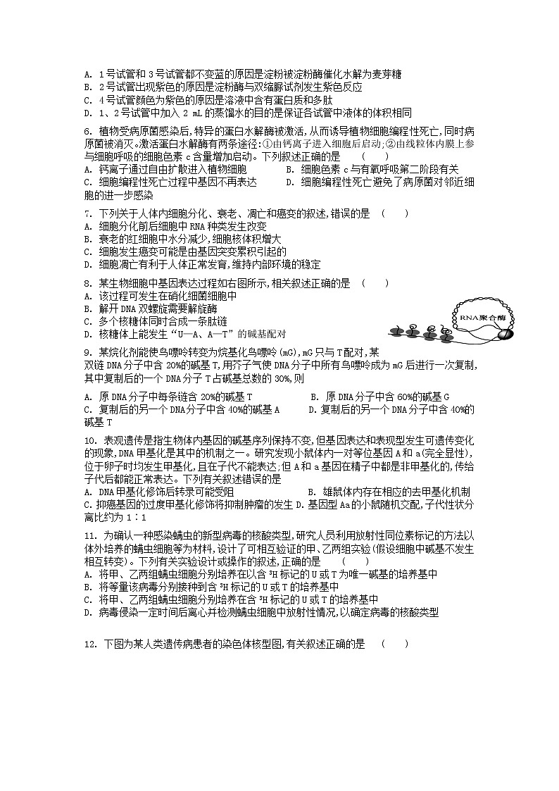 2022盐城上冈高级中学高三上学期第一次学情检测（实验班）生物试题含答案第2页
