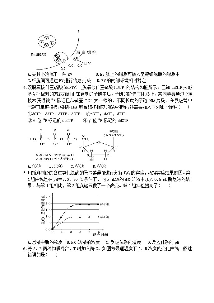 2022山东省夏津一中高三上学期9月入学考试生物试题含答案第2页