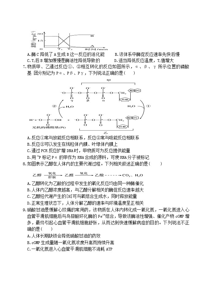 2022山东省夏津一中高三上学期9月入学考试生物试题含答案第3页