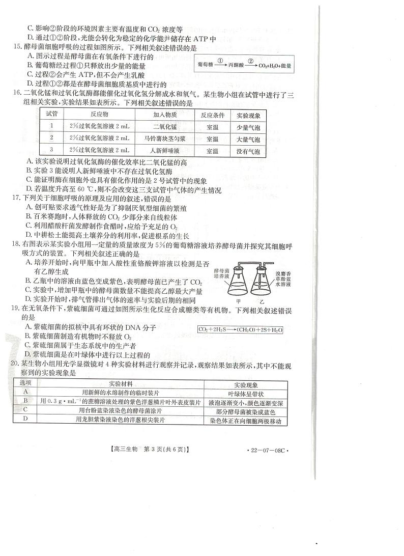 生物试题第3页