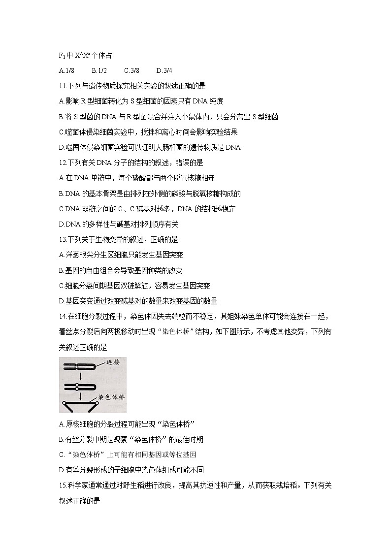 2022安徽省A10联盟高三上学期摸底考试生物含答案03