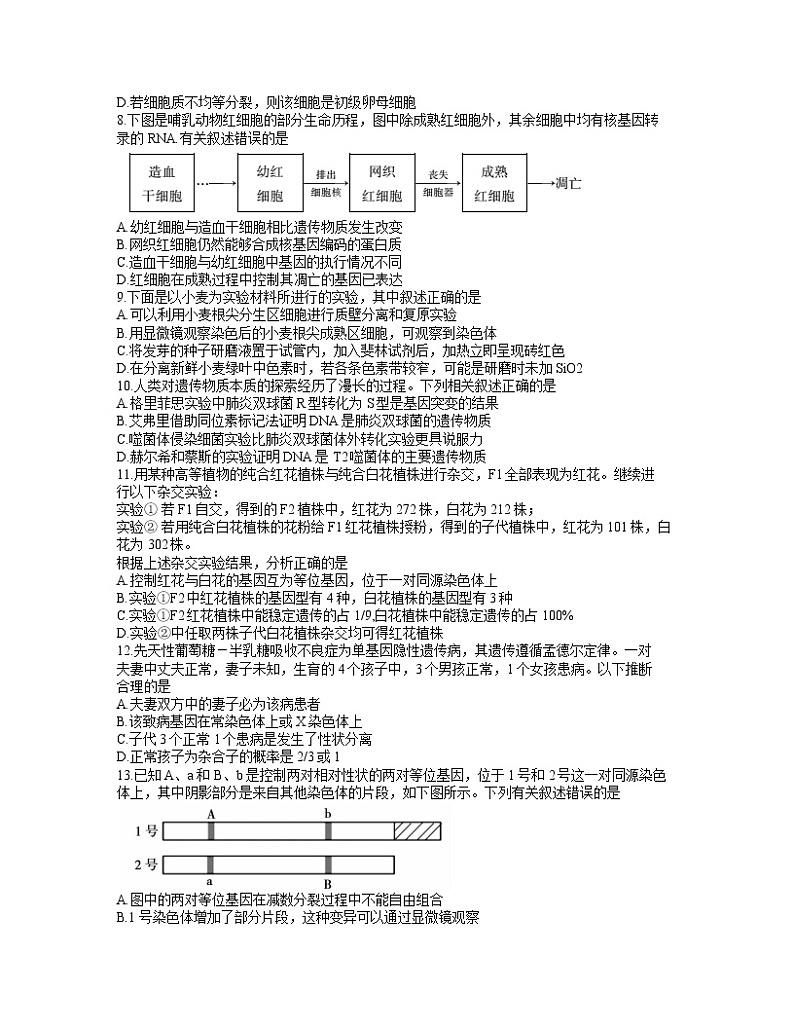 2022蚌埠高三上学期第一次教学质量检查生物试题含答案02