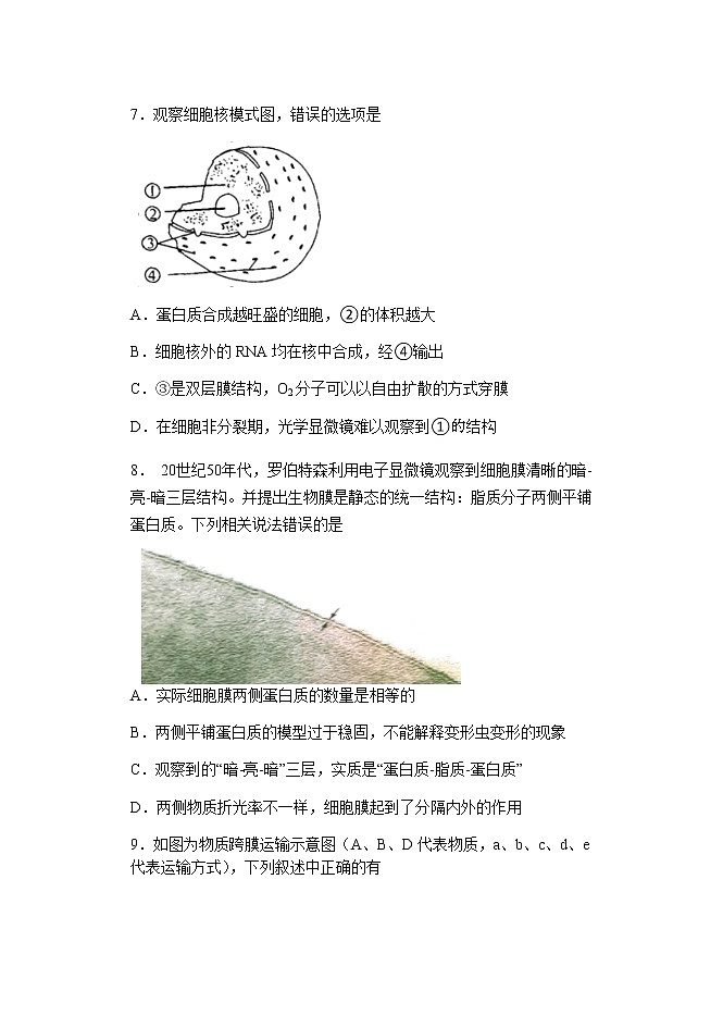 2022重庆市八中高三上学期8月入学摸底测试生物试题含答案第3页