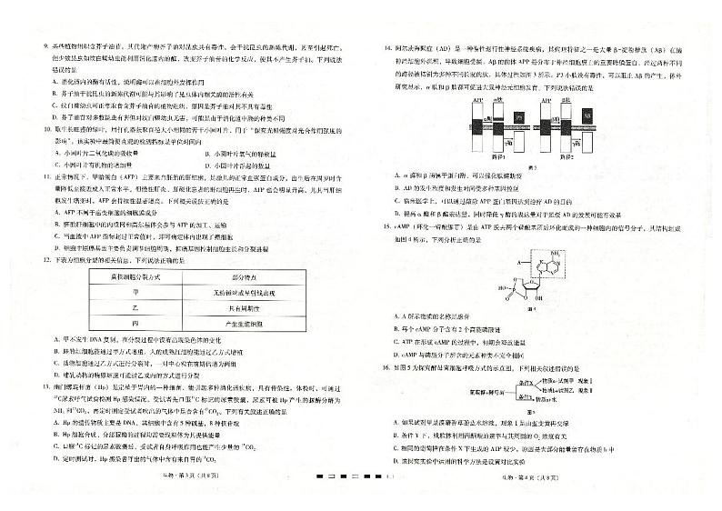 生物第2页