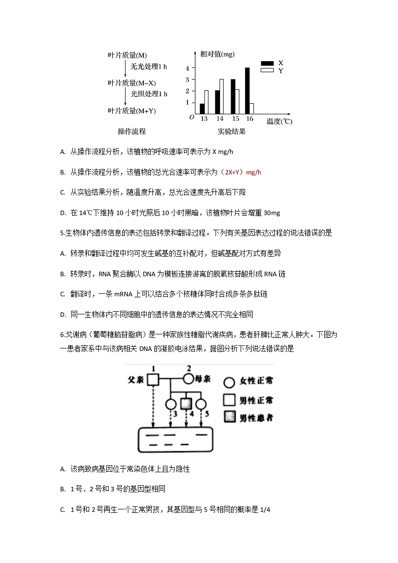 2022湖北省部分重点中学高三上学期新起点联考生物试题含答案第3页