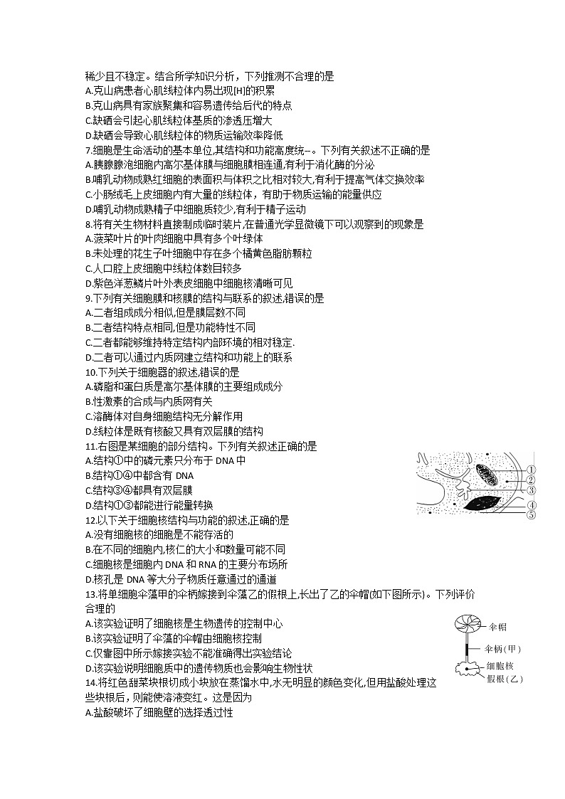 2021省大庆肇州县高三下学期二校联考生物试题含答案第2页