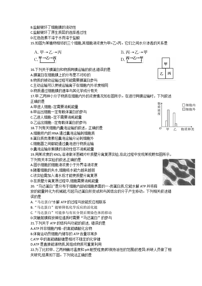 2021省大庆肇州县高三下学期二校联考生物试题含答案第3页