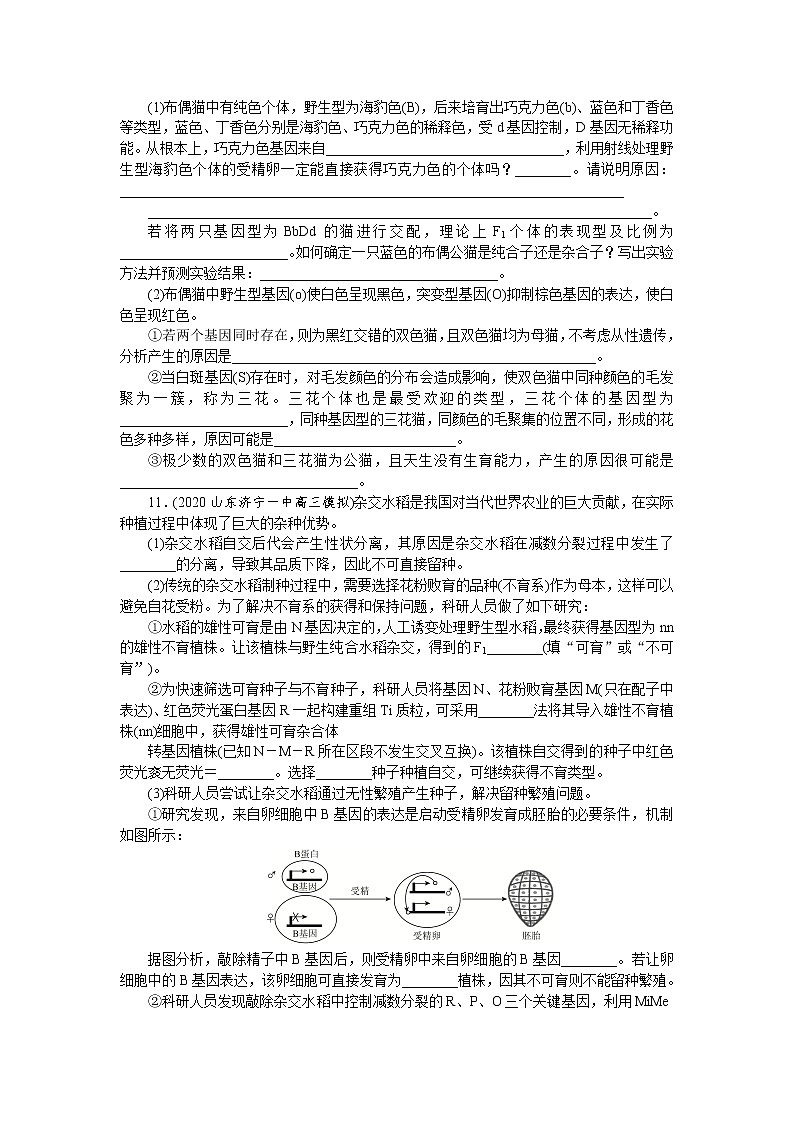 2022秦皇岛青龙满族自治县一中高三上学期周测二生物试题含答案第3页