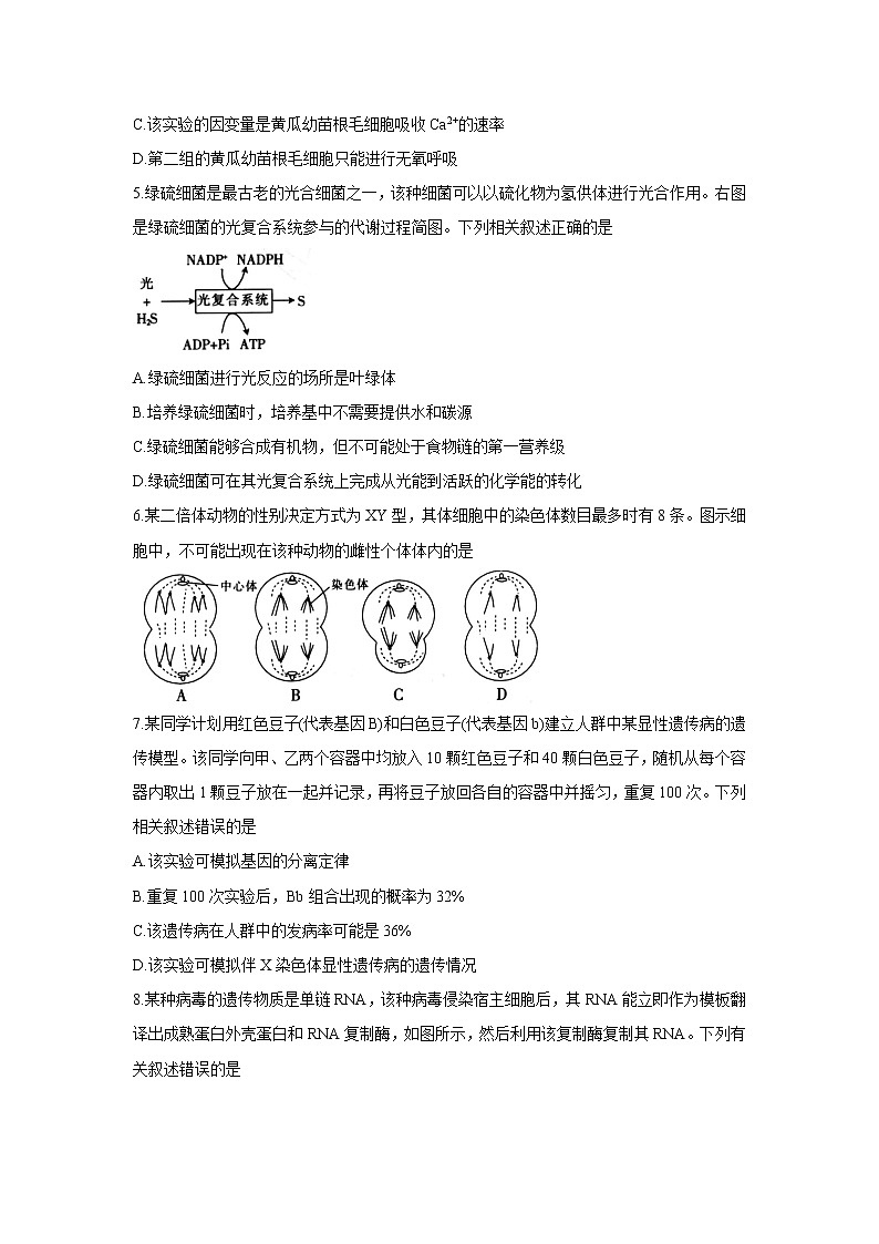 2022广东省高三上学期8月第二次联考生物含答案第2页