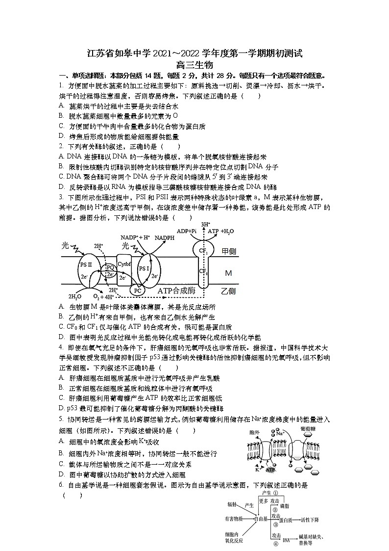 2022江苏省如皋中学高三上学期期初测试生物试题含答案01