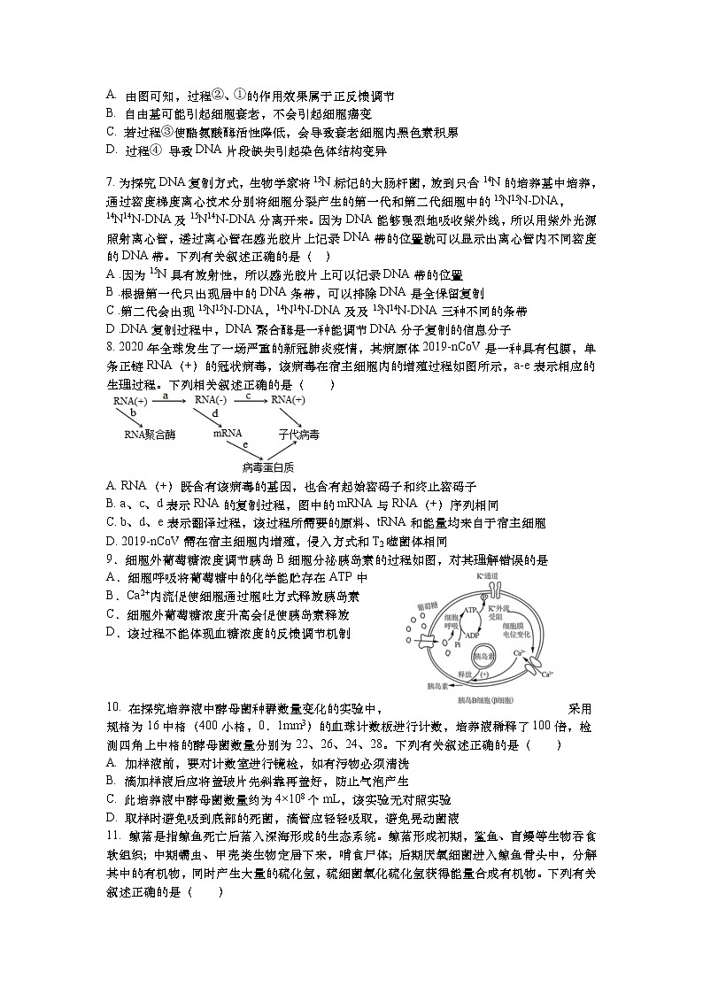 2022江苏省如皋中学高三上学期期初测试生物试题含答案02