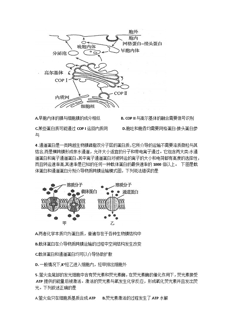 2021包头高三上学期8月起点调研考试生物试题含答案第2页