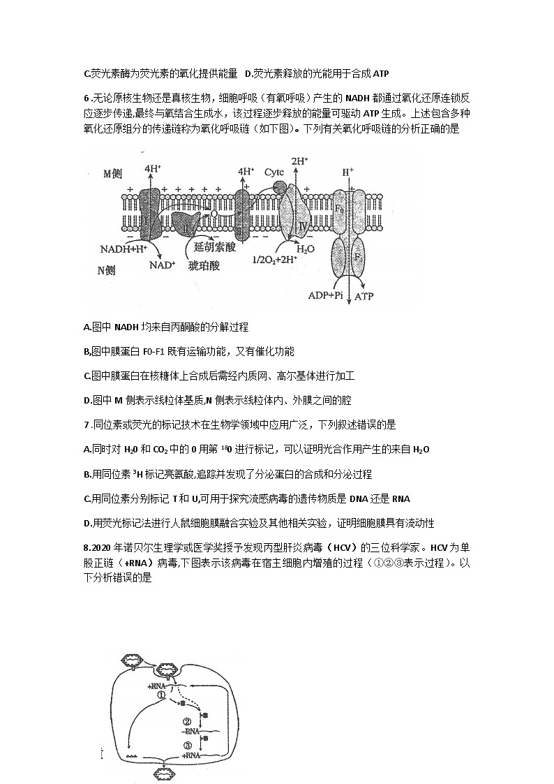 2021包头高三上学期8月起点调研考试生物试题含答案第3页