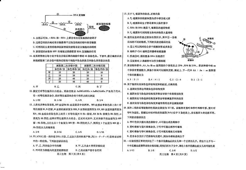 内蒙古包头市2020-2021学年高三上学期起点调研考试生物试题第2页