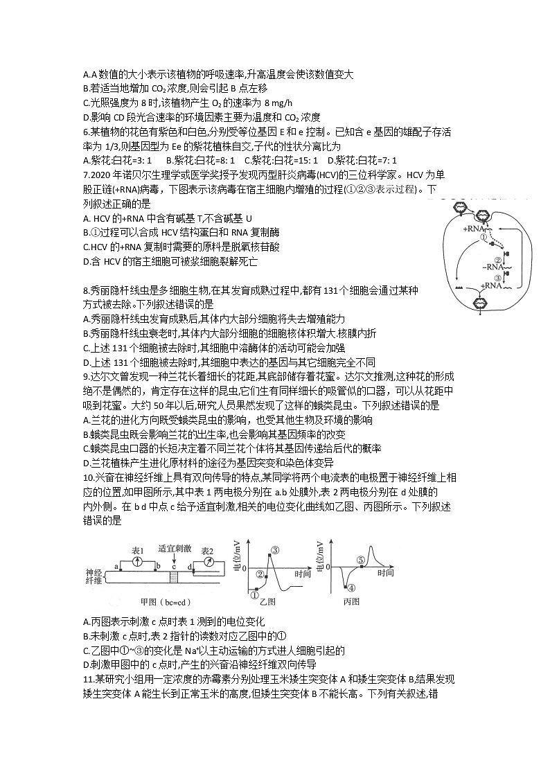 2022深圳光明区高三上学期8月第一次调研考试生物试题缺答案02