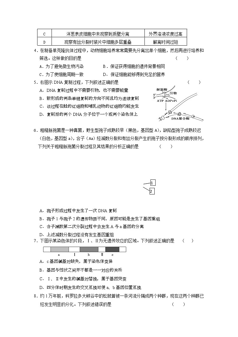 2021北京延庆区高三第一次模拟考试生物试题含答案02