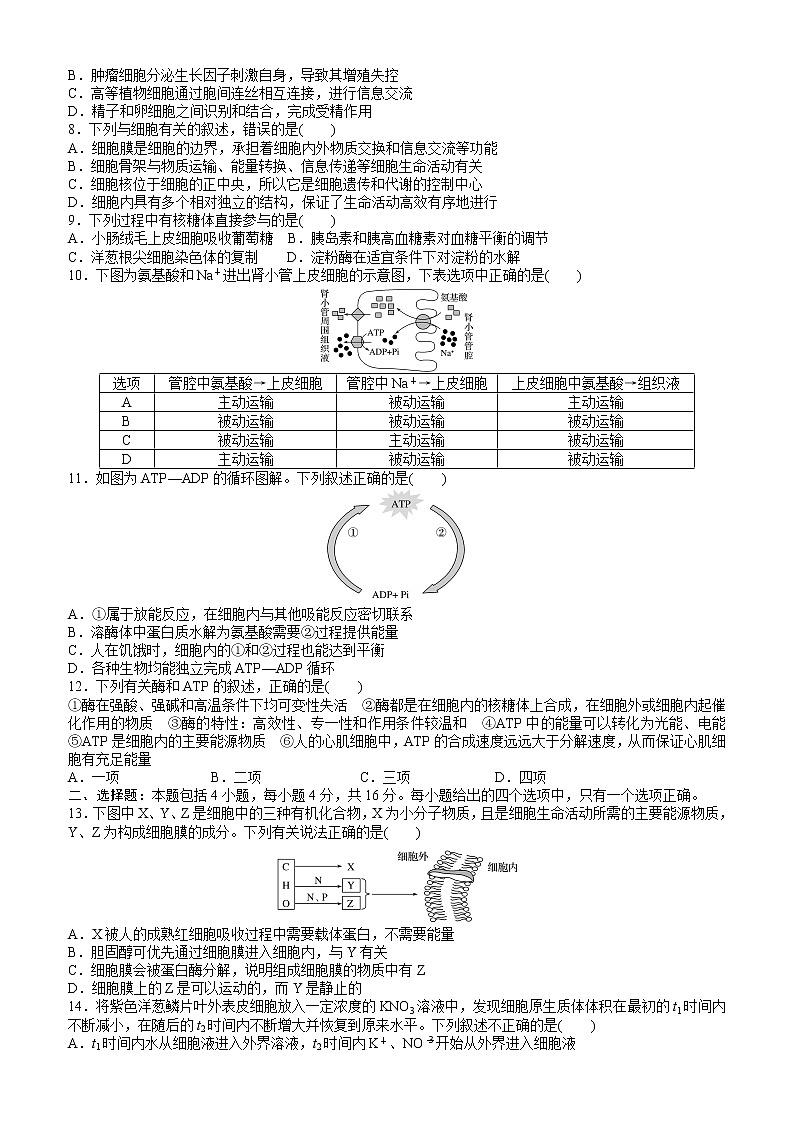 勤建学校2020-2021学年度高三第一次调研考试第2页