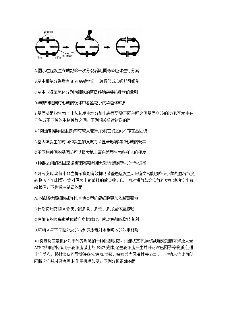 2021唐山高三下学期普通高等学校招生全国统一模拟考试生物试题含答案第3页