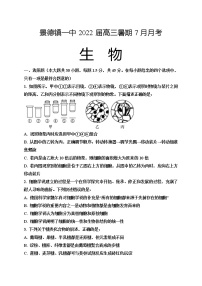 2022景德镇一中高三上学期7月月考生物试题含答案