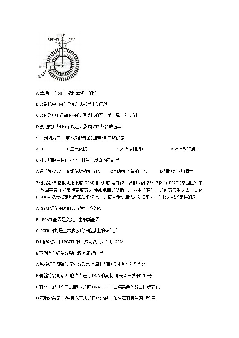 贵州省黔西南州2020-2021学年高三上学期期末生物试卷第2页
