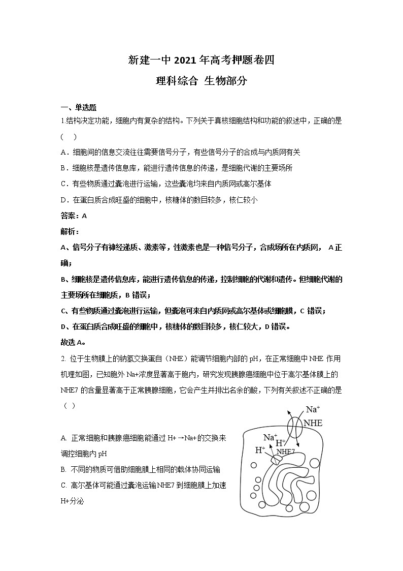 2021南昌新建区一中高三高考押题卷（四）生物试卷含答案第1页