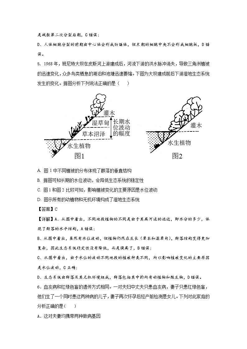2021南昌新建区一中高三高考押题卷（三）生物试卷含答案03