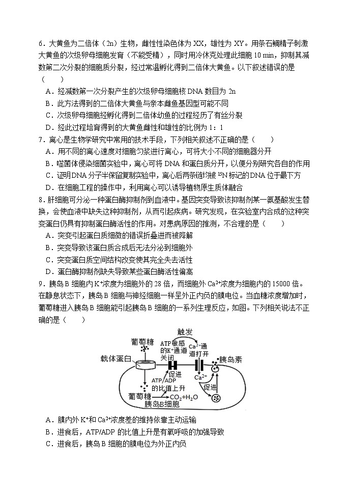 2021届天津市南大奥宇学校高考校模拟生物试题（word版，含答案）第2页