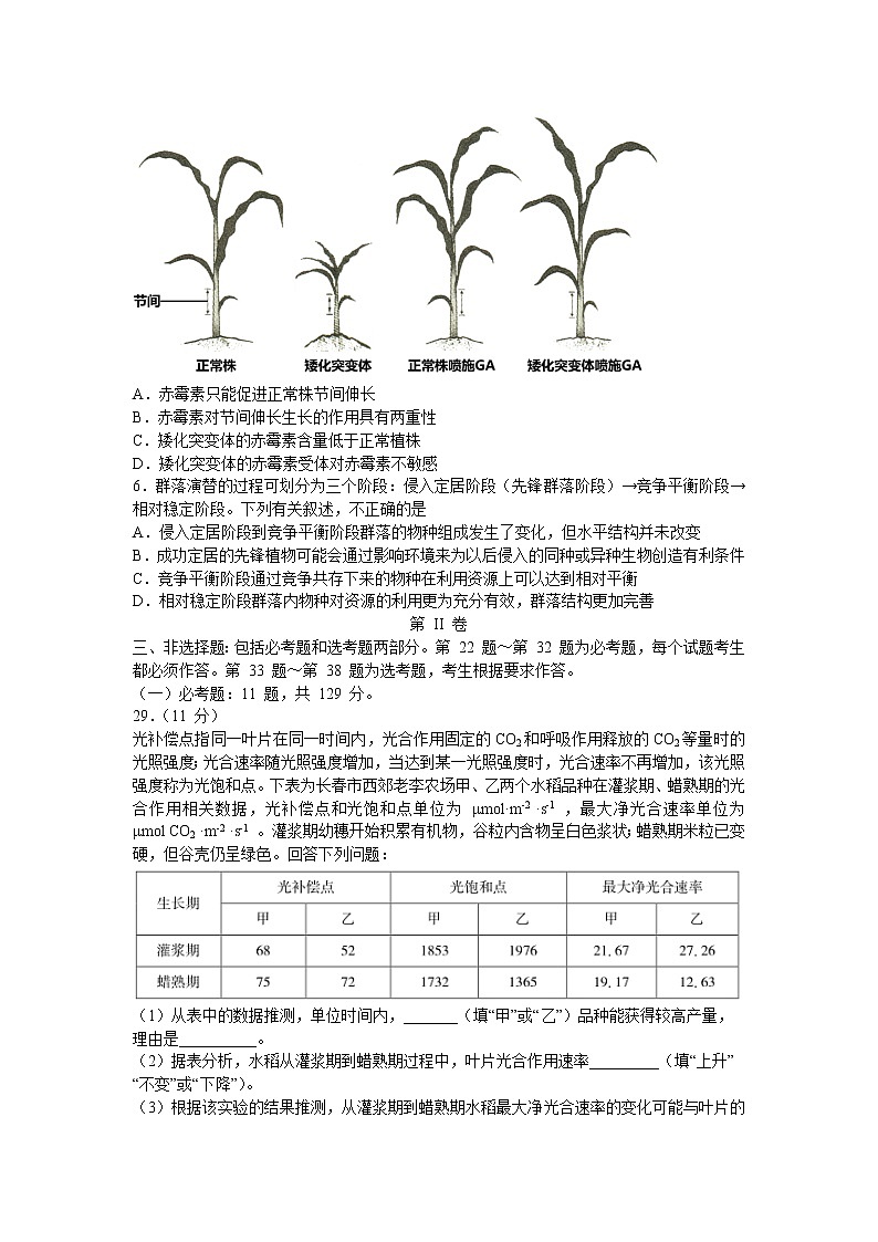 2021东北师大附中高三下学期第五次模拟考试理科综合生物试题含答案02