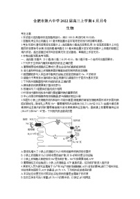 2022合肥六中高三上学期6月月考生物试题含答案