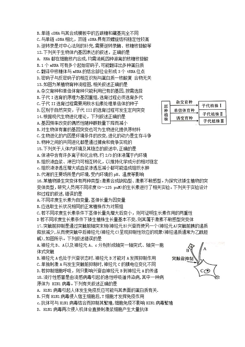 河南省九师联盟2022届高三上学期6月摸底考巩固卷生物试题 Word版含答案第3页