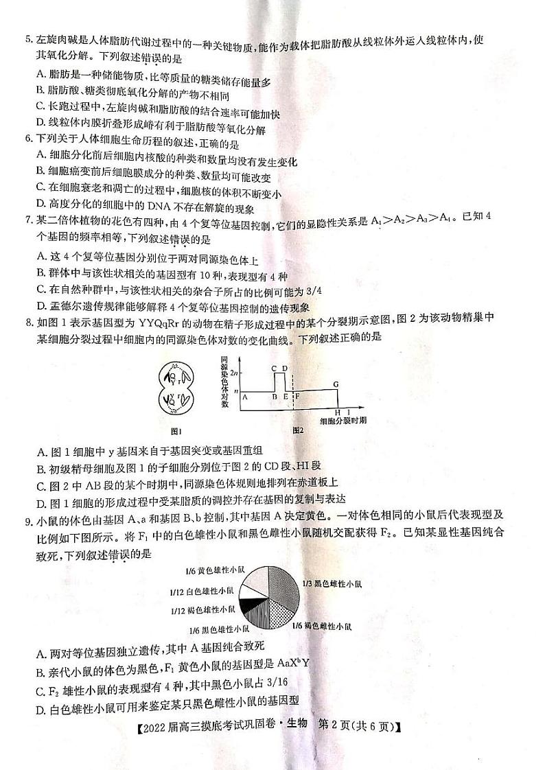 2022河南省九师联盟高三上学期6月摸底考巩固卷生物试题扫描版含答案第2页
