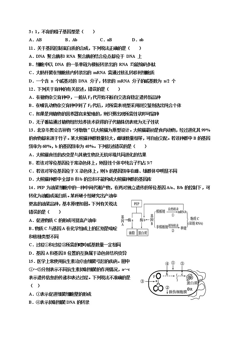 2022鄂尔多斯一中高二上学期第一次月考生物（理）试题含答案第3页