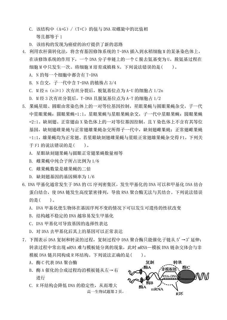 2022潍坊四中高二上学期收心考试生物试题PDF版含答案第2页