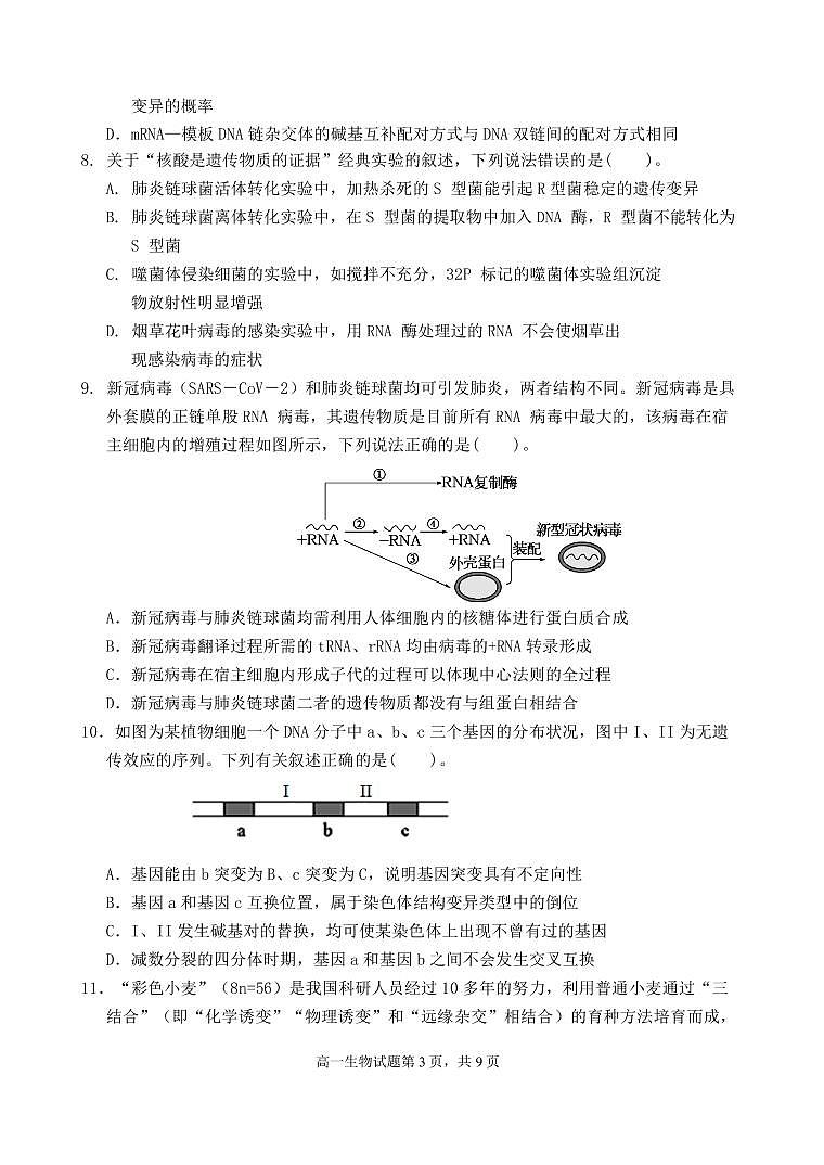2022潍坊四中高二上学期收心考试生物试题PDF版含答案第3页