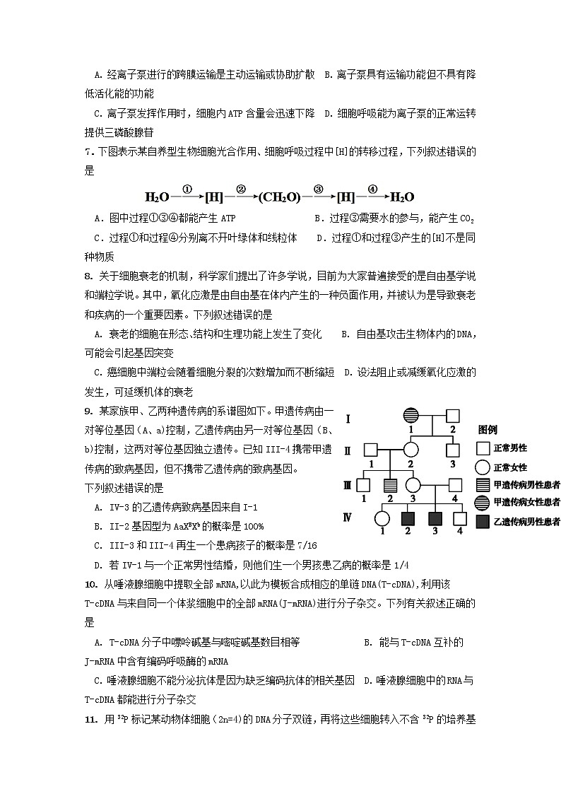 2022新余四中高二上学期第一次月考生物试题含答案第2页