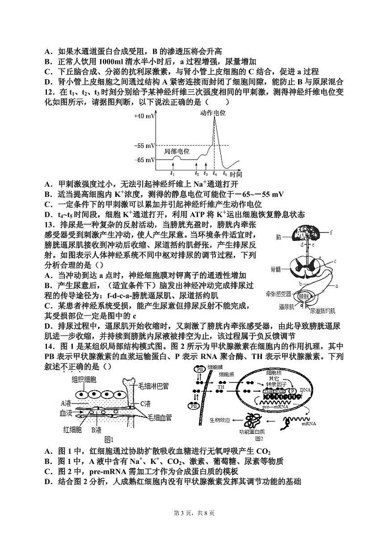 2022潍坊四中高二上学期10月过程检测生物试题（PDF版含答案）第3页