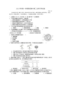 2022上海奉贤区致远高级中学高二上学期10月评估生物试题含答案