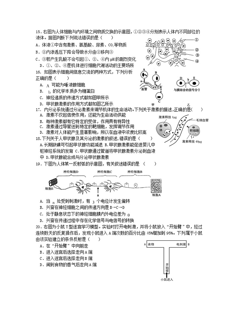 2022上海奉贤区致远高级中学高二上学期10月评估生物试题含答案03