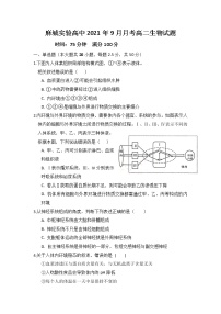 2022湖北省麻城实验高级中学高二上学期9月月考生物试题含答案