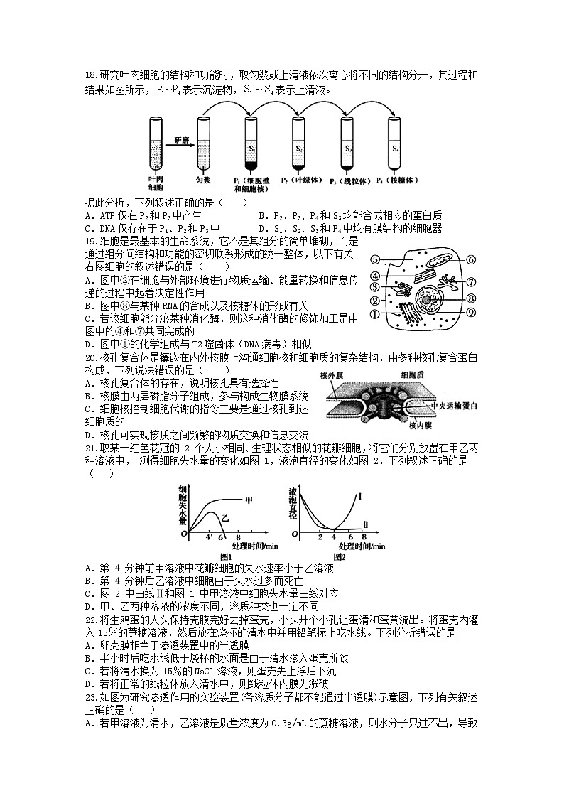 2022宜春上高二中高二上学期第一次月考试题生物含答案第3页