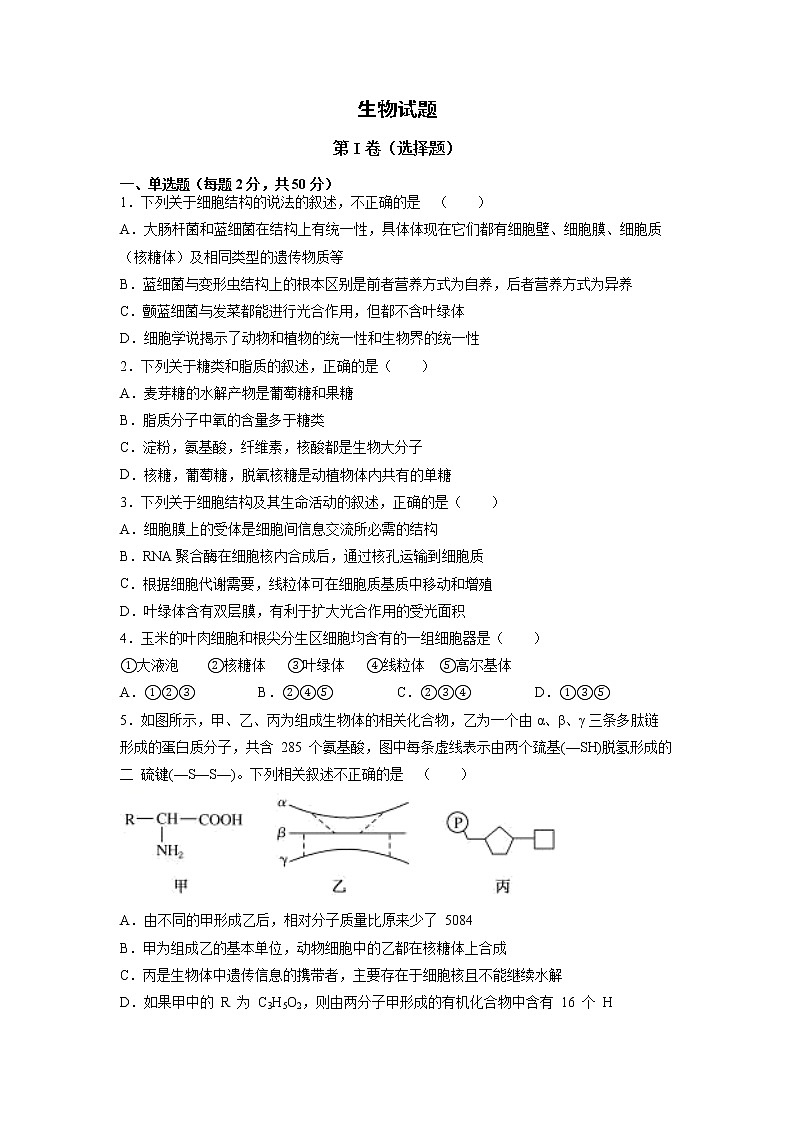 2022涡阳县育萃高级中学高二上学期第一次月考生物试题含答案第1页