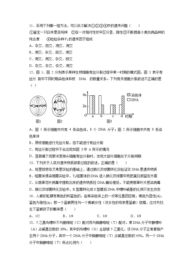 2022涡阳县育萃高级中学高二上学期第一次月考生物试题含答案第3页