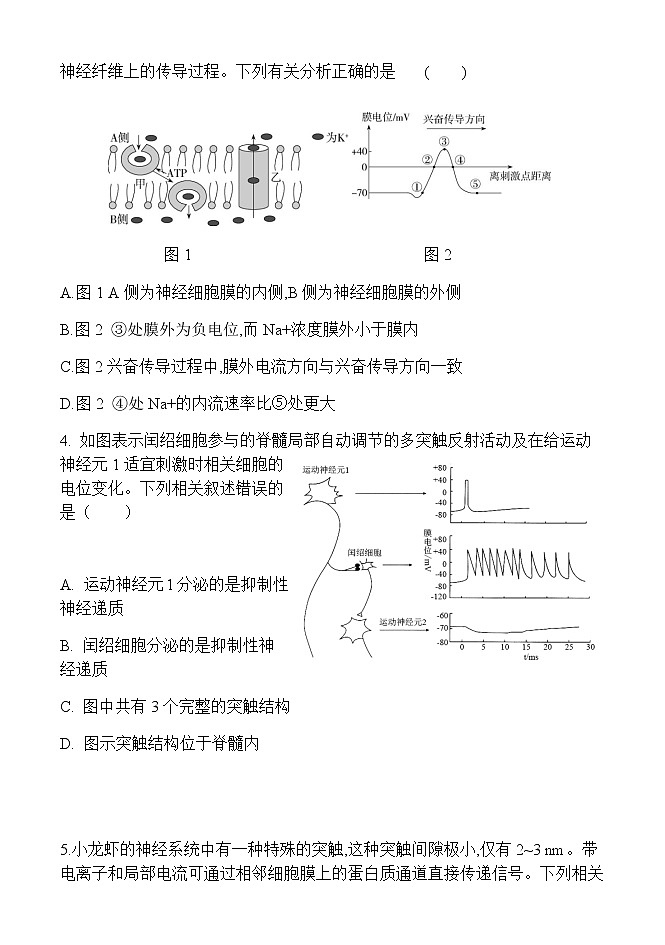 2022临沂平邑县一中实验部高二上学期第二次月考生物试题含答案第2页