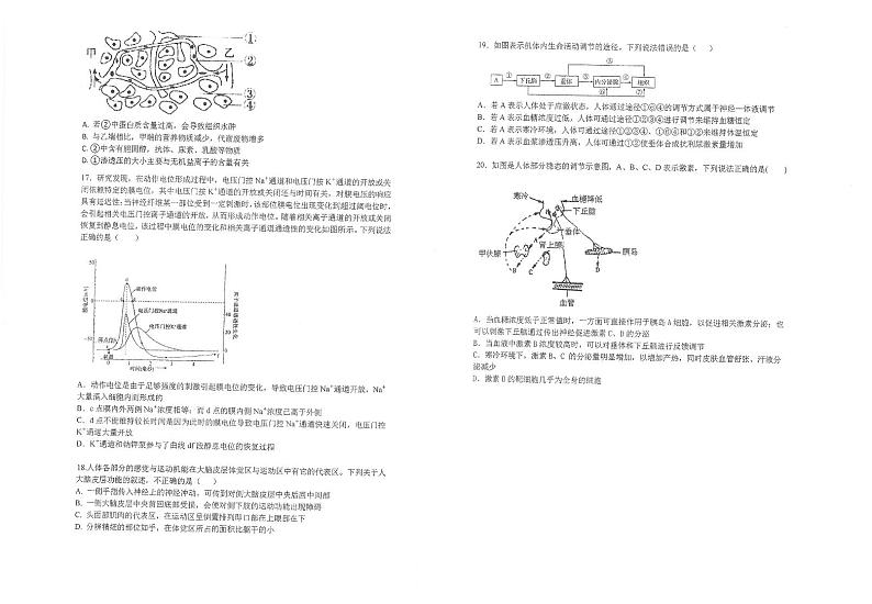 2022江苏省常熟中学高二上学期10月阶段学习质量检测生物试题扫描版含答案第3页
